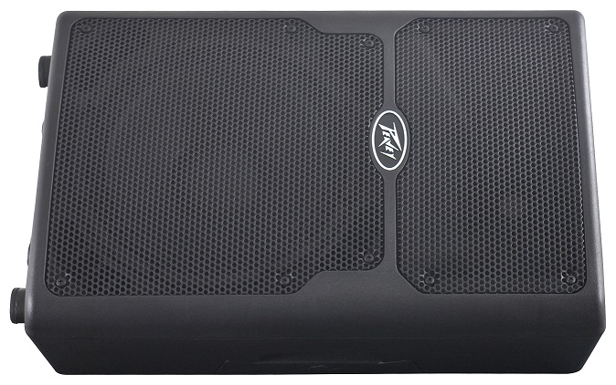 PEAVEY PVX-10 PASSIVE SPEAKER